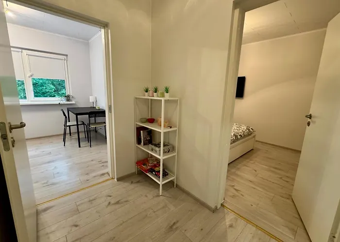 公寓 Mai 10 派尔努