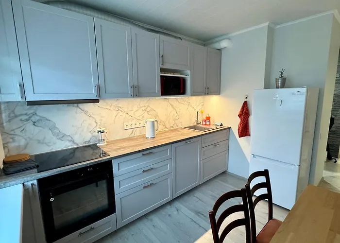 Mai 10 公寓 派尔努